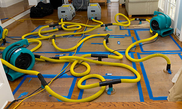 Professional Burst Pipe Water Damage technician working in Asbury, IA